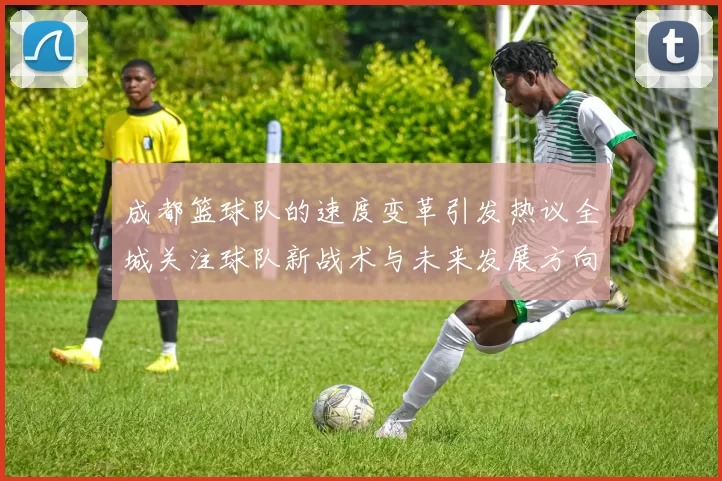 成都篮球队的速度变革引发热议全城关注球队新战术与未来发展方向